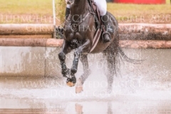 Carlson 114 Nicoletta MASSMANN