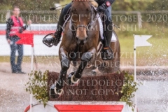 Guccimo R OLD Emily ROBERG