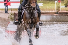 Guccimo R OLD Emily ROBERG