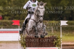 Painter's Igor Nicoletta MASSMANN