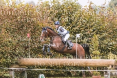 Lariostea H Victoria WEYERS