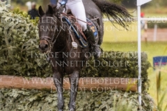 Allan V Malin JOSEFSSON