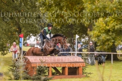 Quidor 8 Felix ETZEL