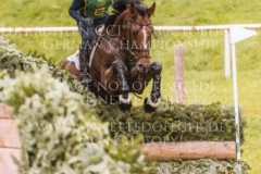 Quidor 8 Felix ETZEL