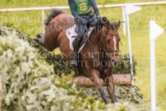 Quidor 8 Felix ETZEL