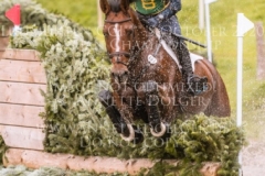 Quidor 8 Felix ETZEL