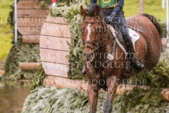 Quidor 8 Felix ETZEL