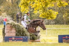 SAP Hale Bob OLD Ingrid KLIMKE