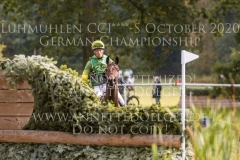 Commander VG Aistis VITKAUSKAS