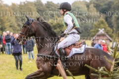 fischerChipmunk FRH Michael JUNG