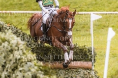 Vassily de Lassos Andrew HOY