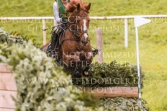 Viamant du Matz Sandra AUFFARTH