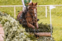 Viamant du Matz Sandra AUFFARTH