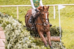 Viamant du Matz Sandra AUFFARTH