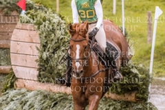 Viamant du Matz Sandra AUFFARTH