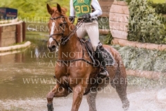 Viamant du Matz Sandra AUFFARTH