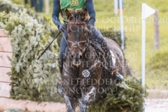 Bandit 436 Felix ETZEL