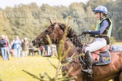 Golden Midnight Malin JOSEFSSON