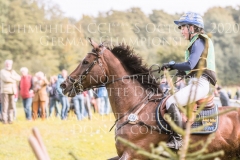 Golden Midnight Malin JOSEFSSON