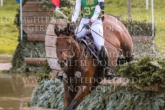 SAP Asha P Ingrid KLIMKE