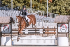 Ginger Gold Julika SCHENKMANN