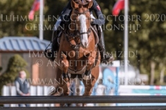 Ginger Gold Julika SCHENKMANN