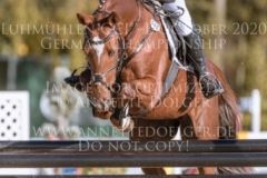 Celebration II Antonia KNAAK