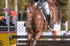 Celebration II Antonia KNAAK