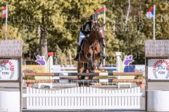 Quimby 2 Gina MUELLER