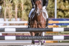 Lisa 1267 Gregor MIGAS