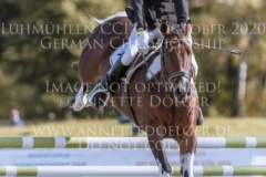 Lisa 1267 Gregor MIGAS