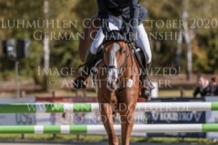 For Ever Pleasure N Pia SCHMUELLING