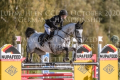 Painter's Igor Nicoletta MASSMANN