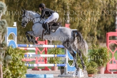 Painter's Igor Nicoletta MASSMANN