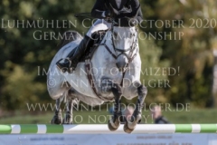 Painter's Igor Nicoletta MASSMANN