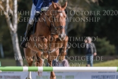 Union Jack Z Camilla ERIKSEN