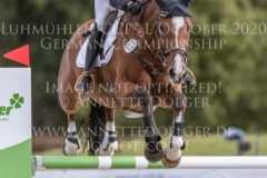 Horseware's Barny Kaya THOMSEN