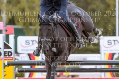 Black Ice Jerome ROBINE