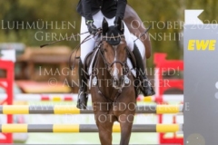 Darcy F Libussa LUEBBEKE