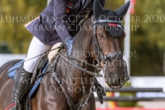 Star Connection FRH Michael JUNG