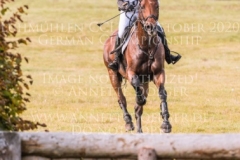 Brennus Alina DIBOWSKI