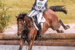 Brennus Alina DIBOWSKI