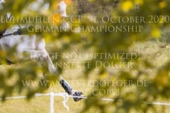 Lara's Little Loretta Lara KRUEGER