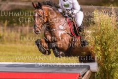 Sir Schelly Sabrina LABES