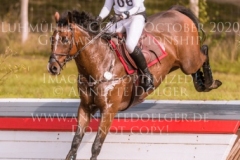 Sir Schelly Sabrina LABES