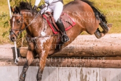 Sir Schelly Sabrina LABES