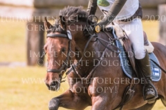 March Boy Lotte PALMGREN