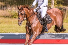 Fraeulein Frieda 10 Brandon SCHAEFER-GEHRAU