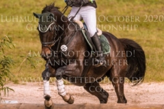 Schoensgreen Continus Christina SCHOENIGER