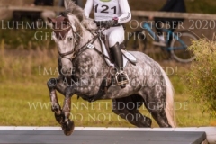 Quantum E Felicia VON BAATH